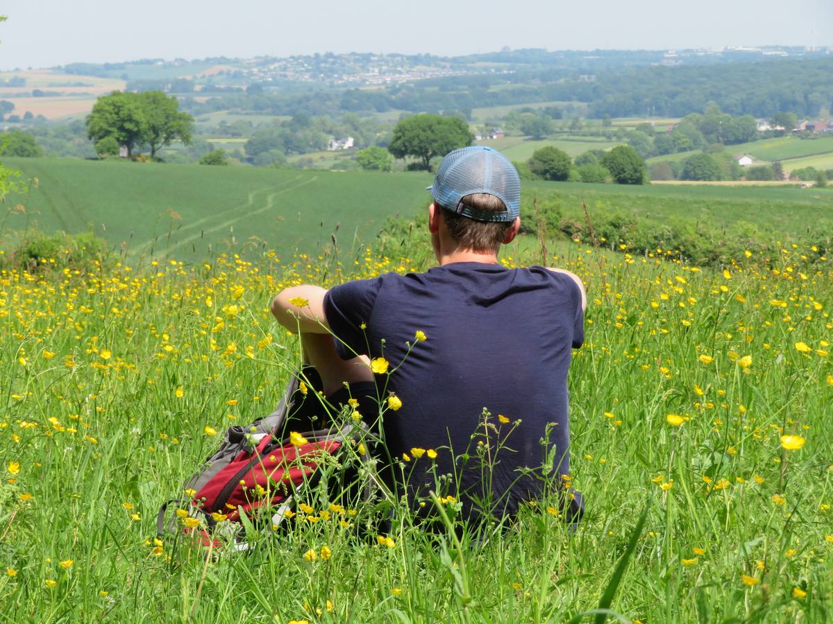 A moment of stillness in nature